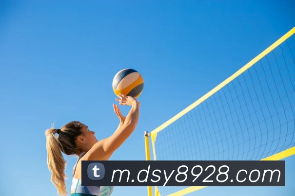 大三元官网平台登录APP 封面图